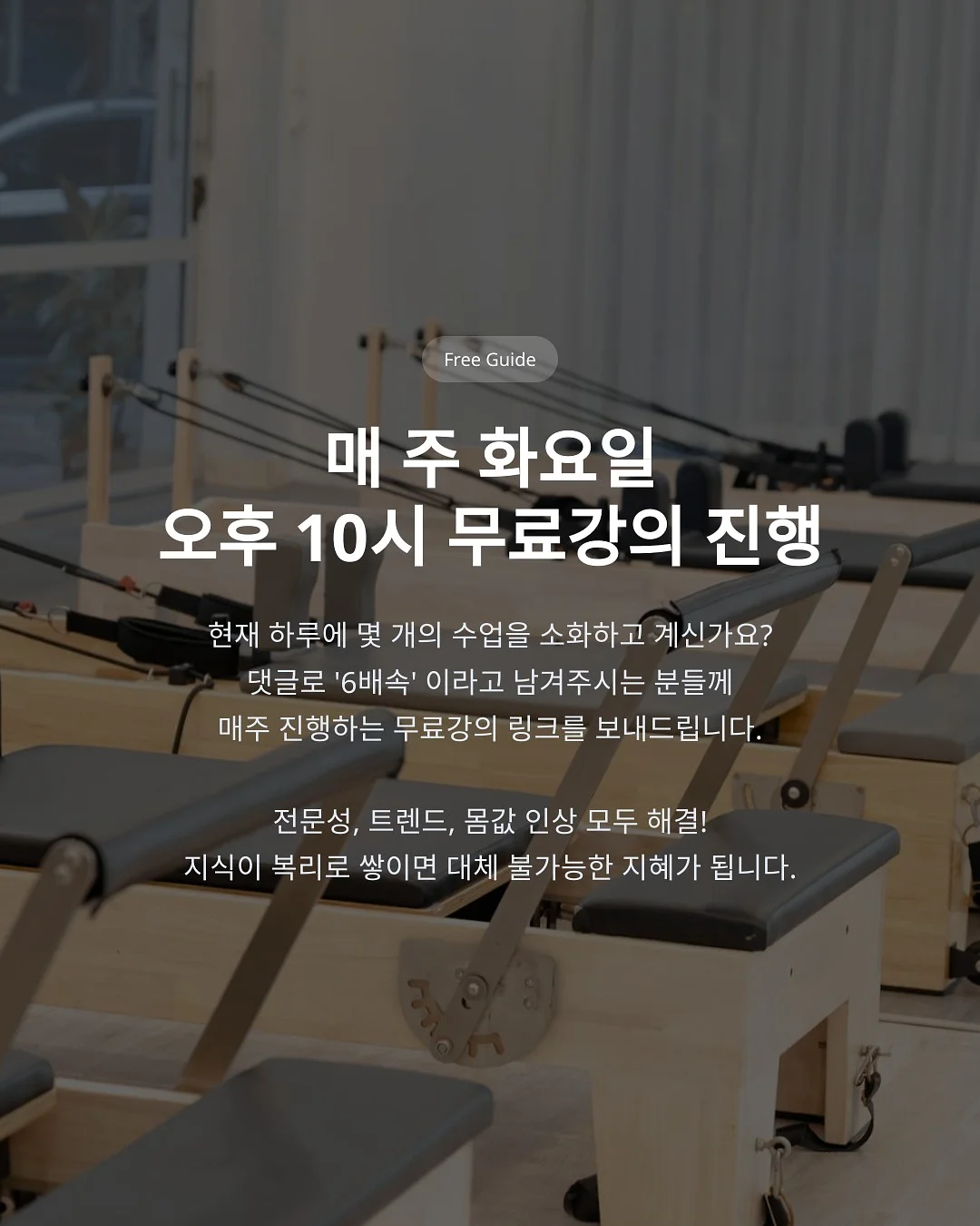 코끼리 분수 매트 5