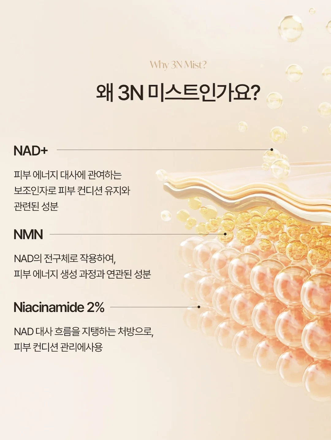 샤카 쪼리 6
