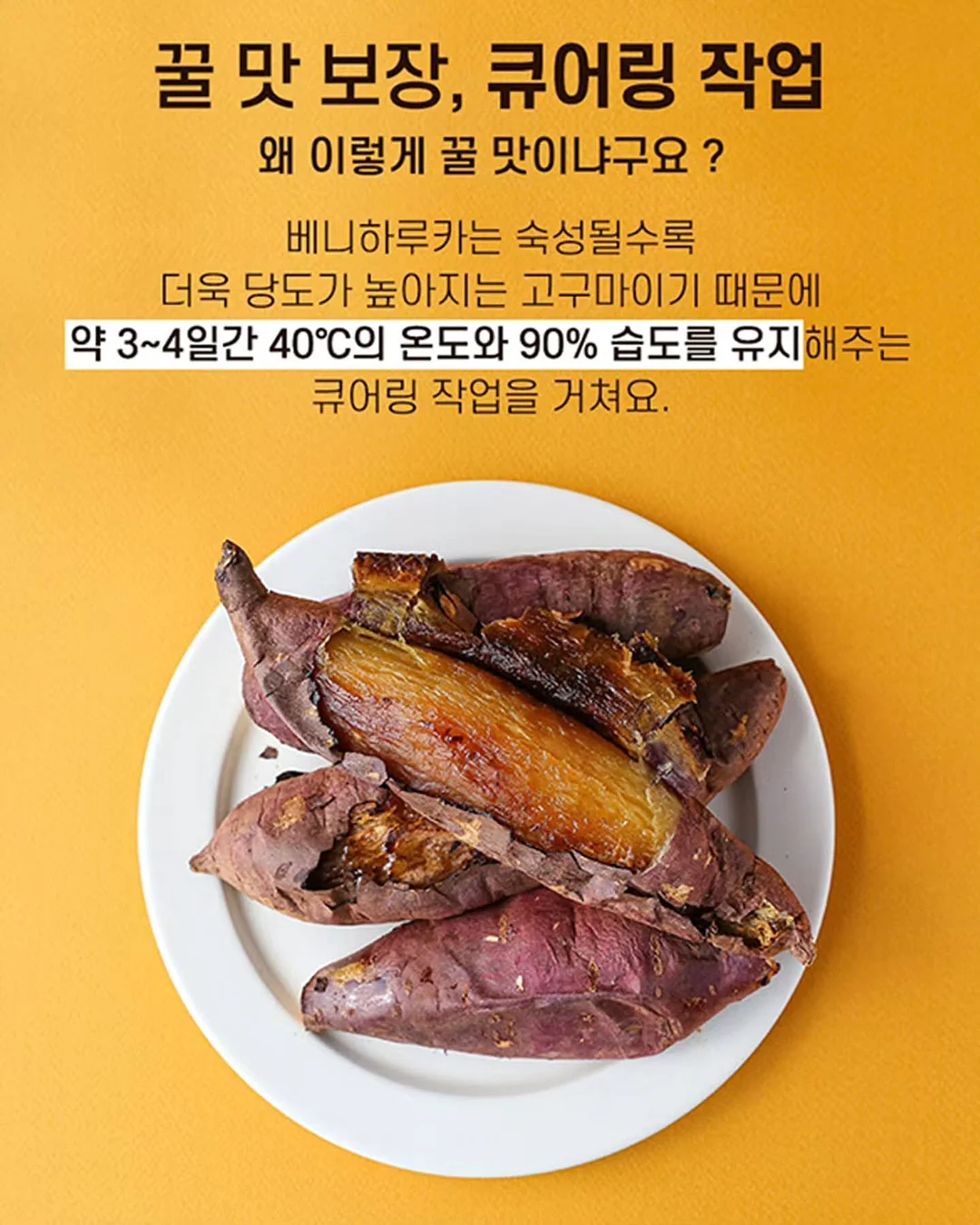 르토우 호텔 타월 5장 선물세트 4
