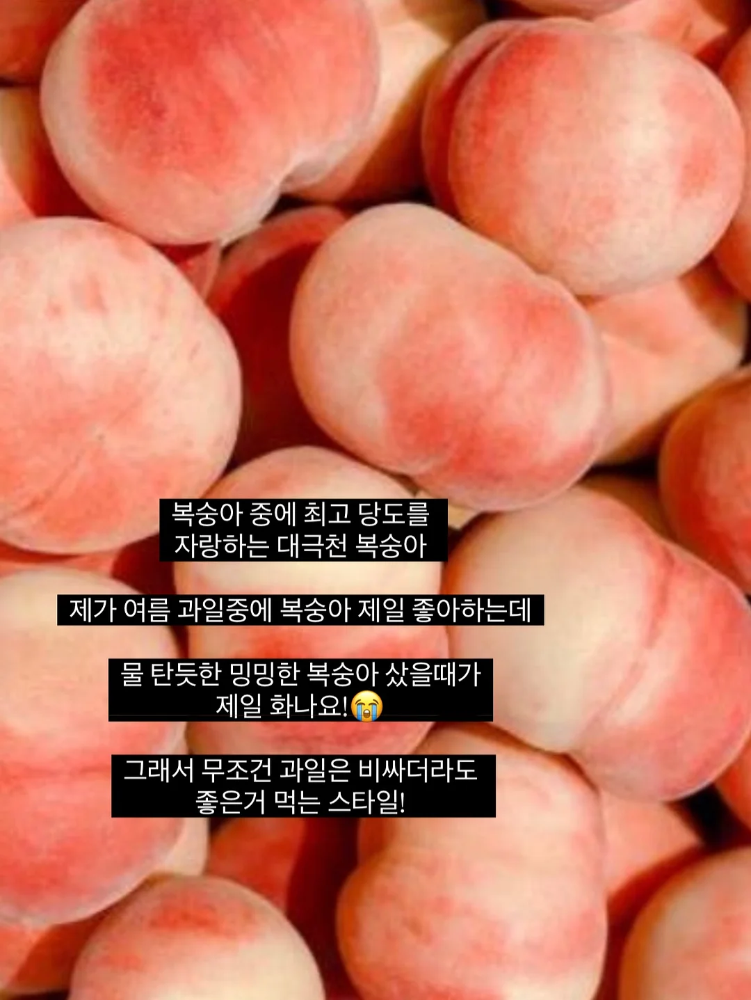 6월 심플아트 2