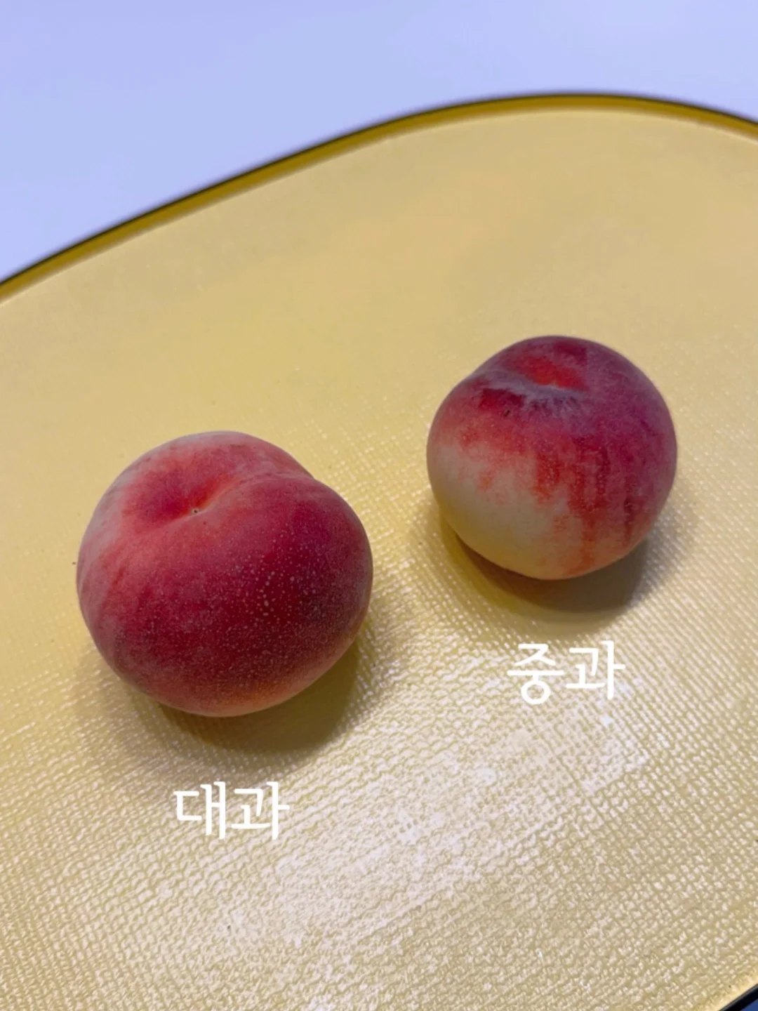 6월 심플아트 6