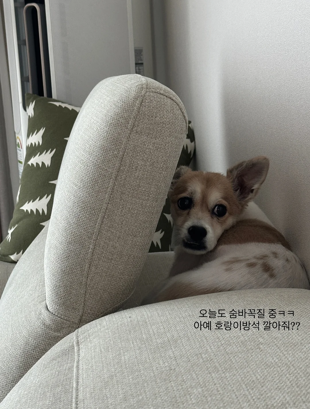 압축봉 3