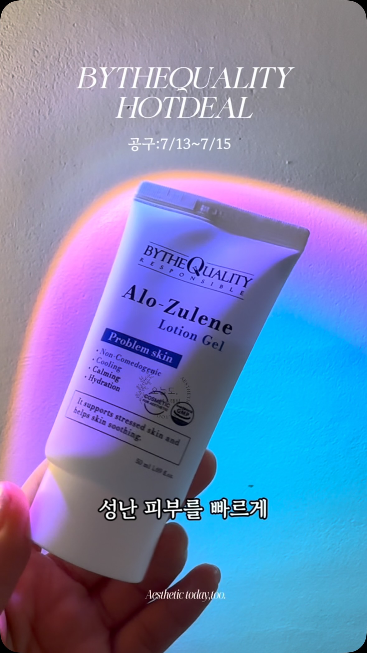 르메르 네트백