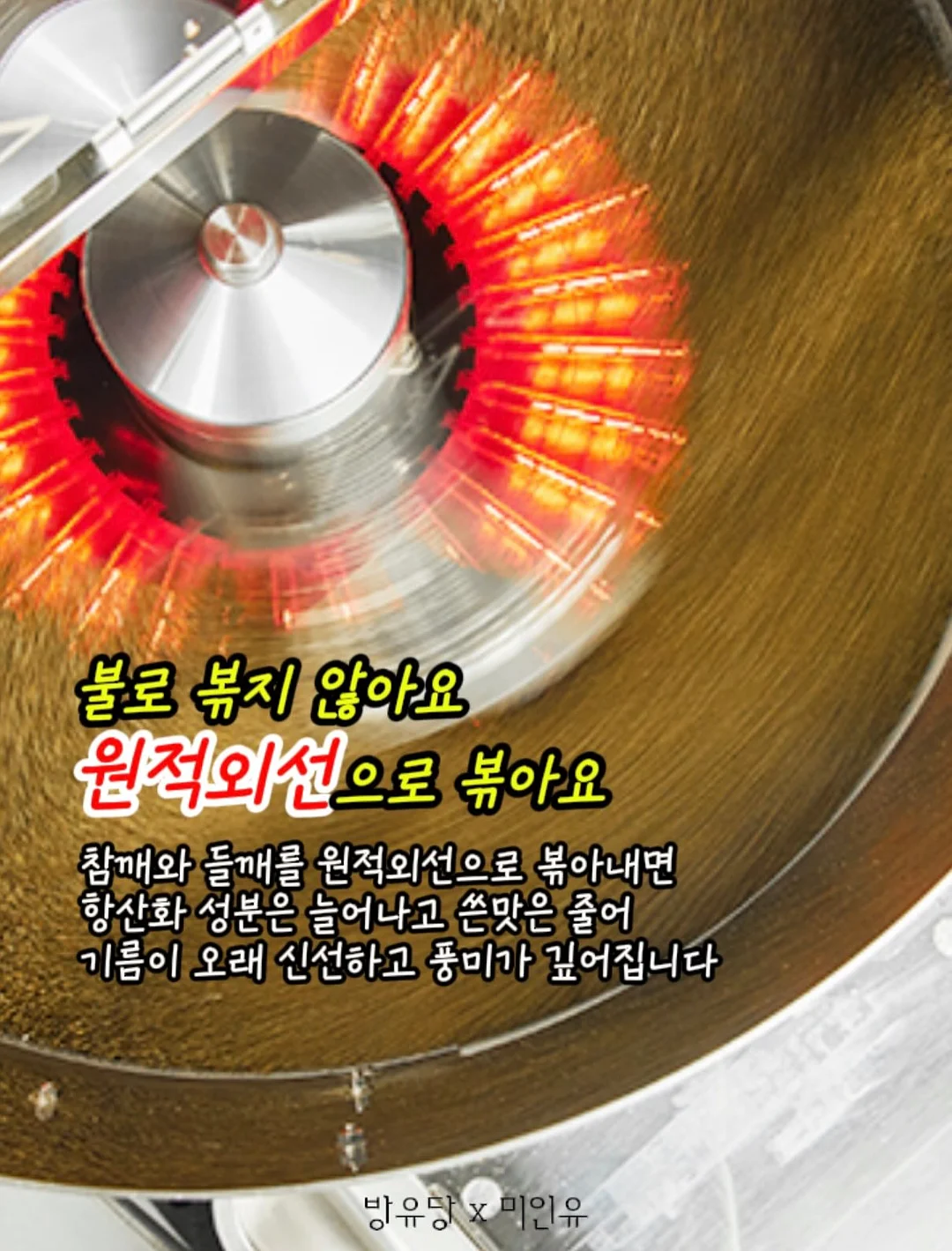 단단한 문해력 11