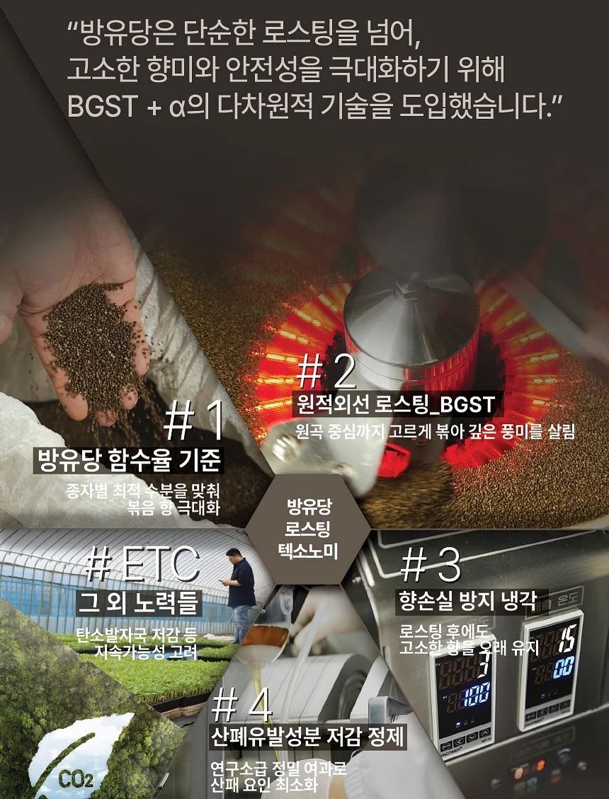 단단한 문해력 10
