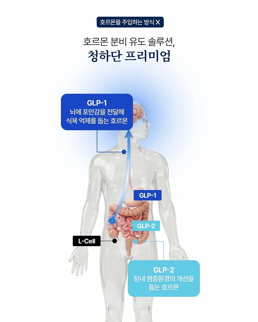 아모코스 실타래 마스크팩 6