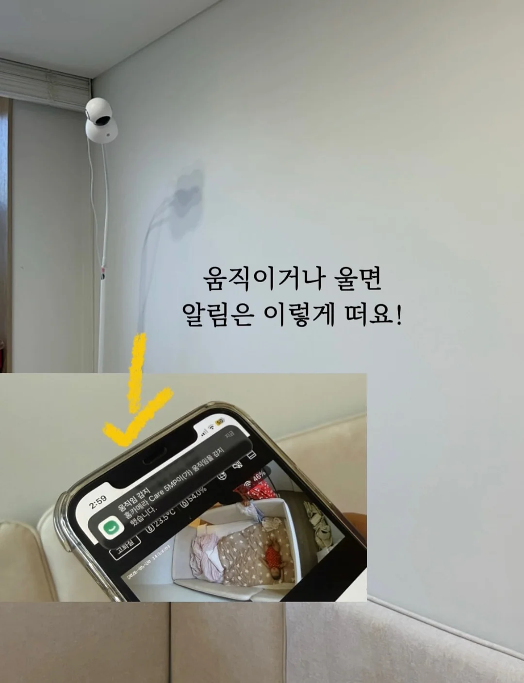 칼하트 포켓로고 베이지 반팔티 7