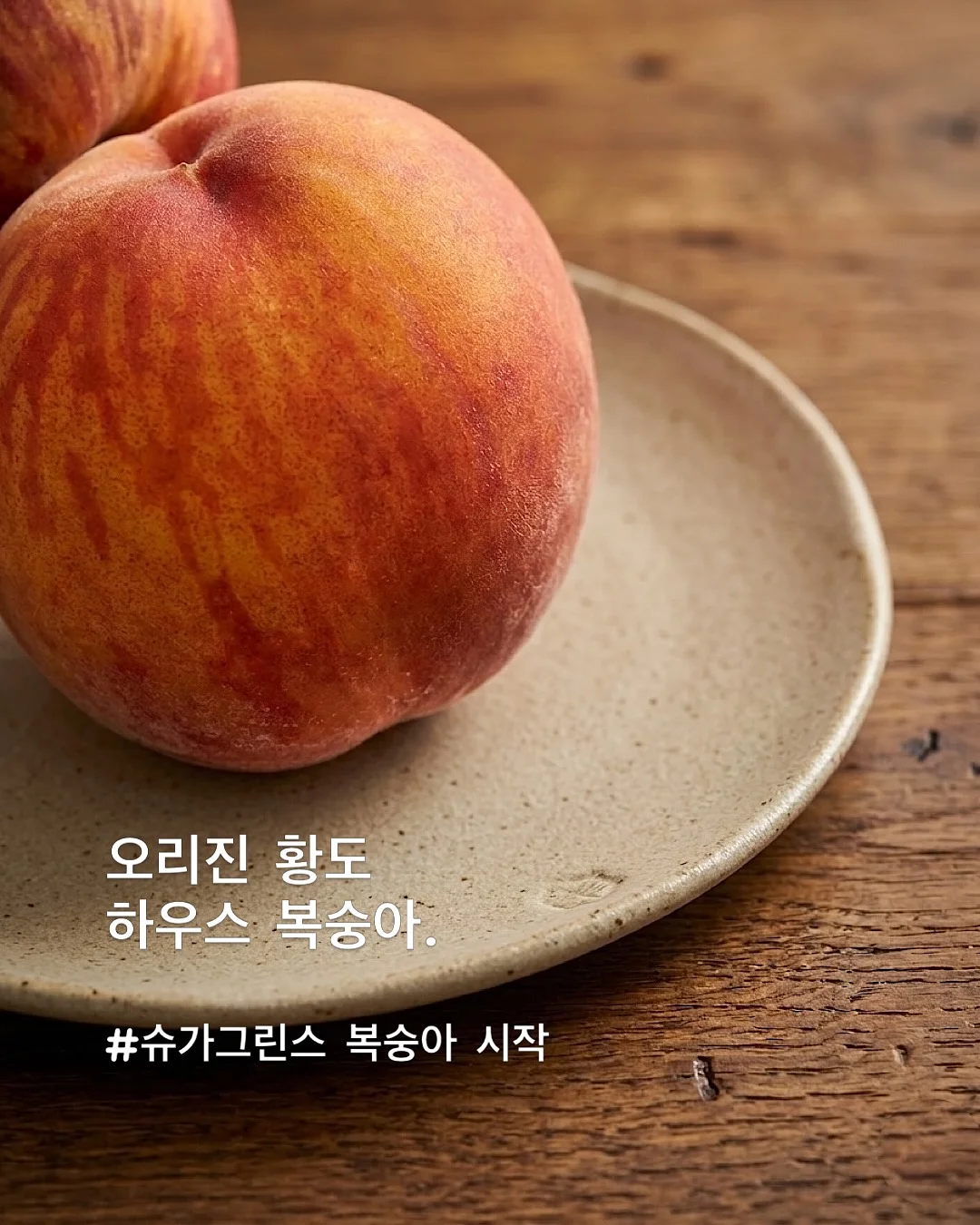 비문 주얼리 인식표 1
