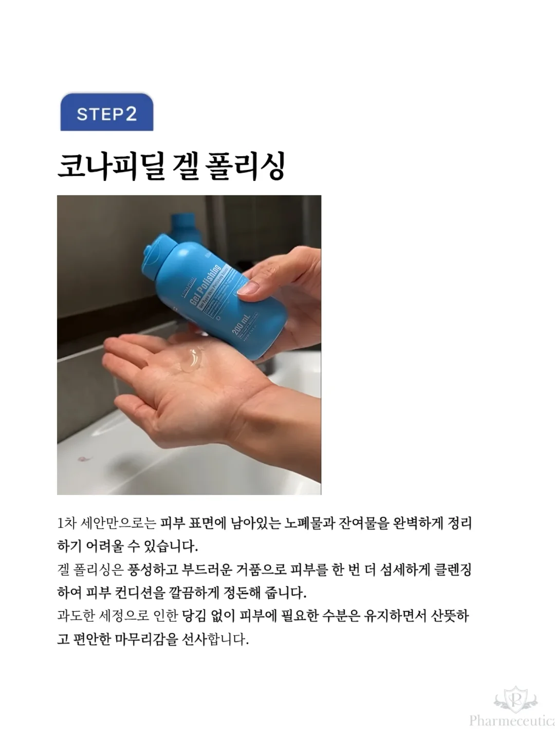 파메룸 6