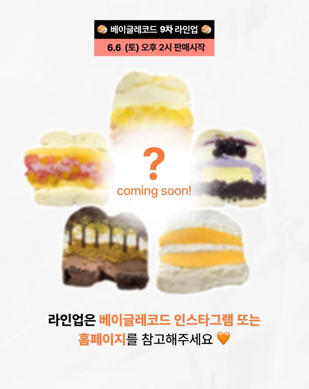 루체 돔 플라워 컬렉션 2