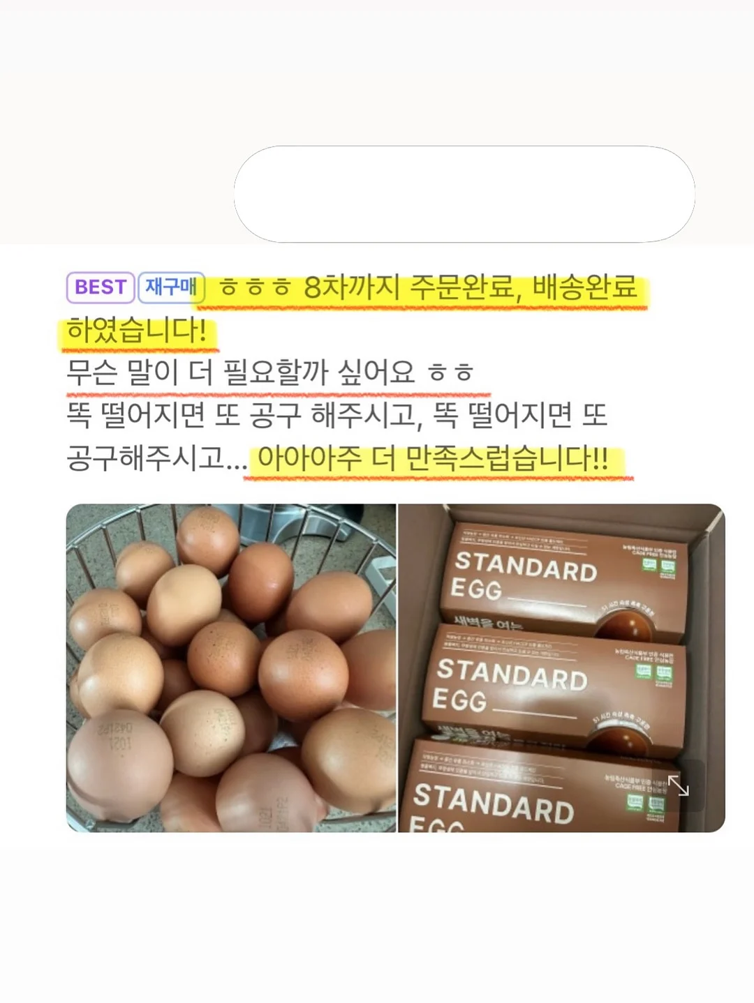 엔젤 버니 탑 11