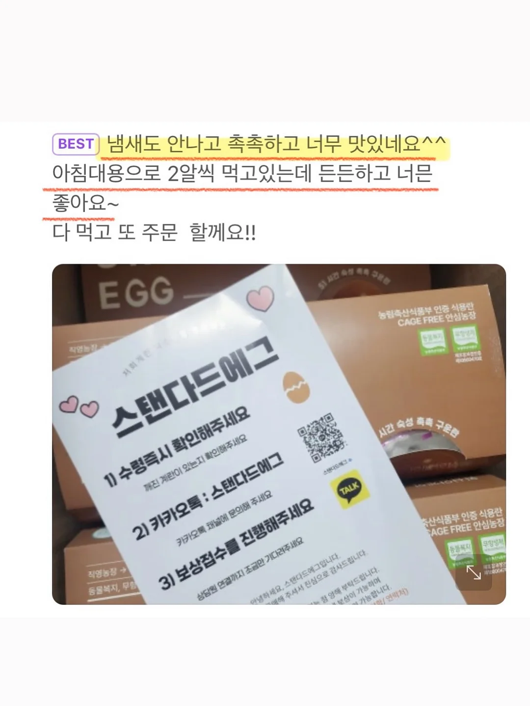 엔젤 버니 탑 12