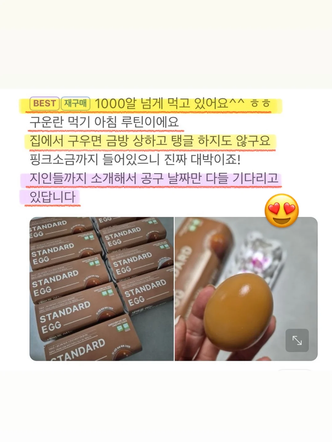 엔젤 버니 탑 13