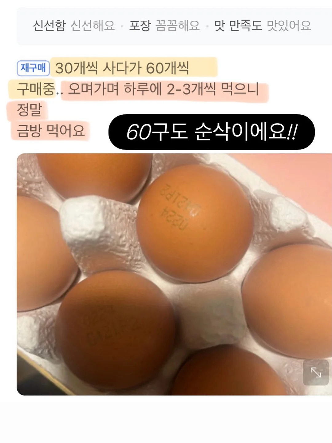 엔젤 버니 탑 14