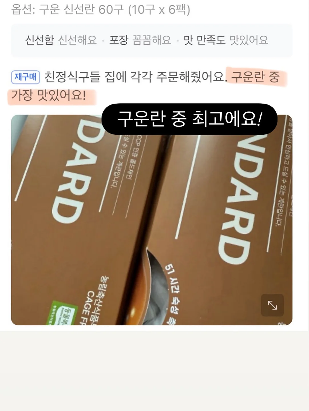 엔젤 버니 탑 20