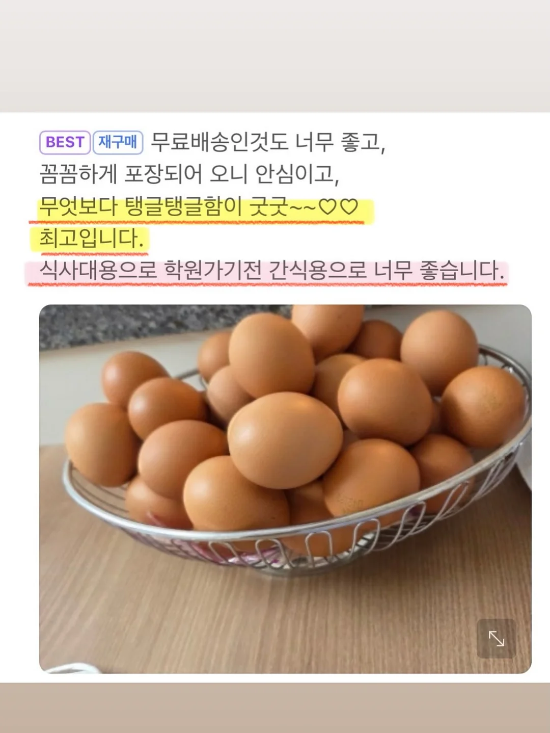 엔젤 버니 탑 10