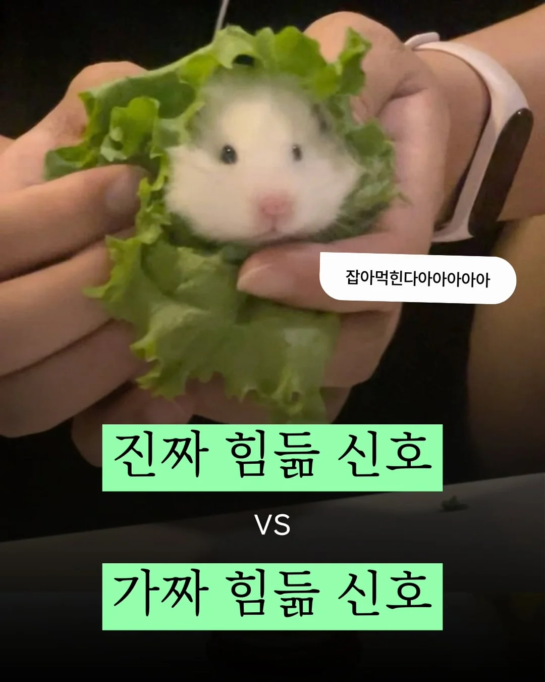 고압세척기 1