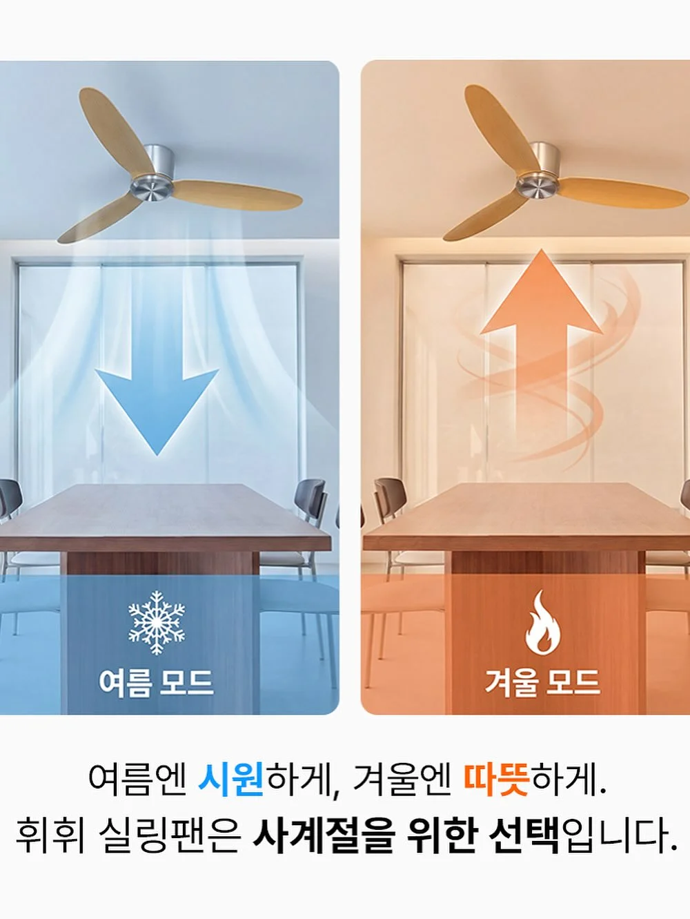 이월드 앵콜 20