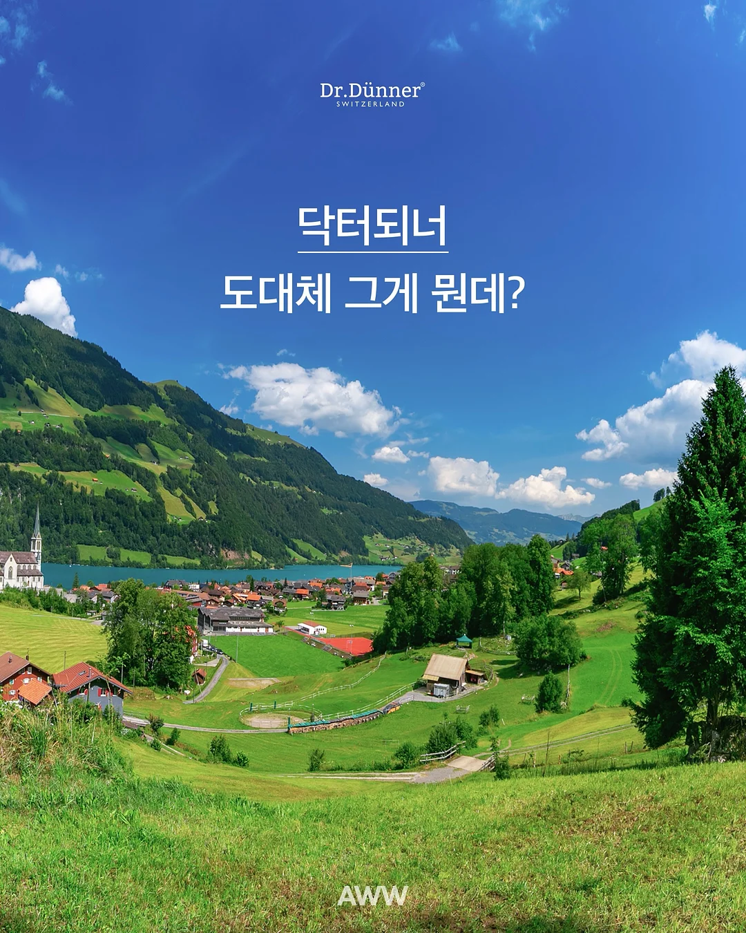 베로로 허그곰 1