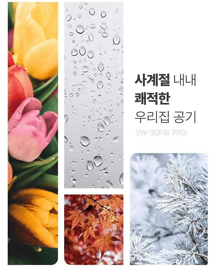 빼빼마켓 구매 이벤트 8