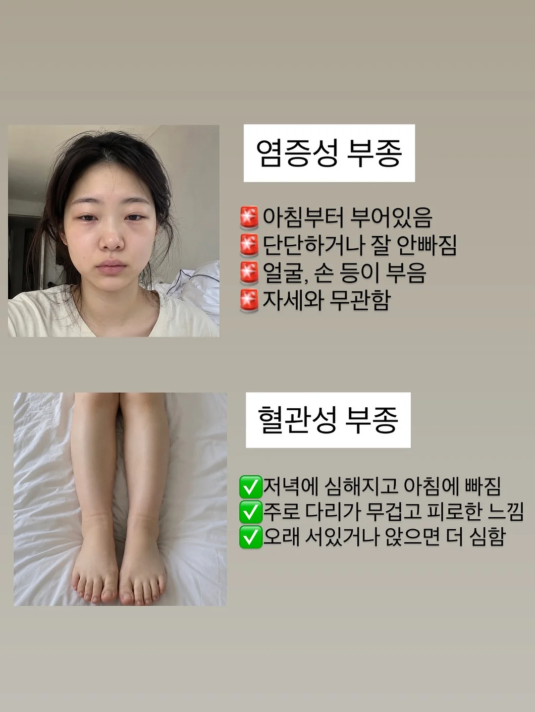 향기 테라피 꽃 2