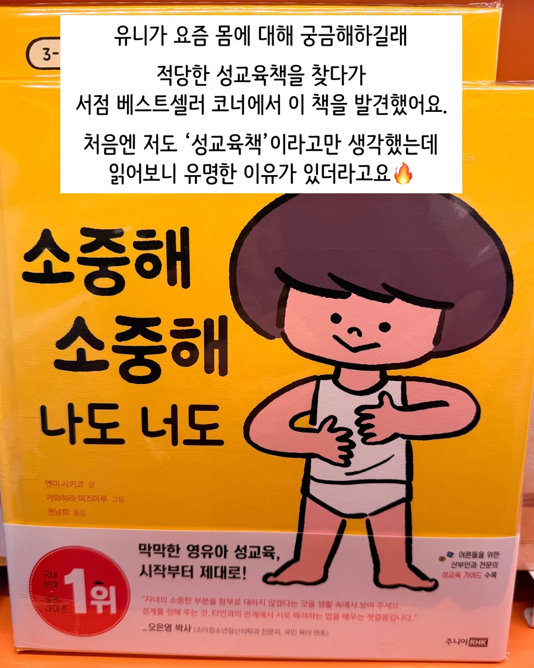 귀여운 식물 2