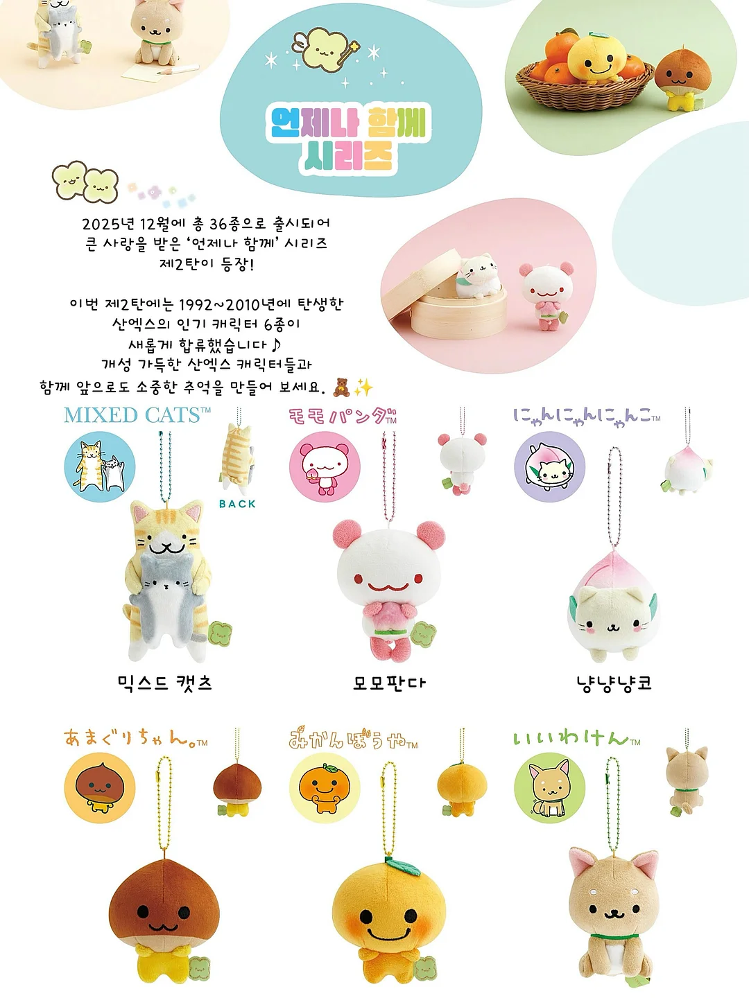 올른 드라이시트 멜로디 11
