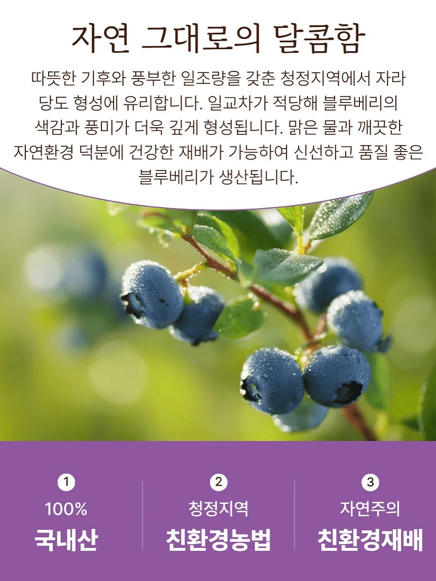10일 대사 리셋 16