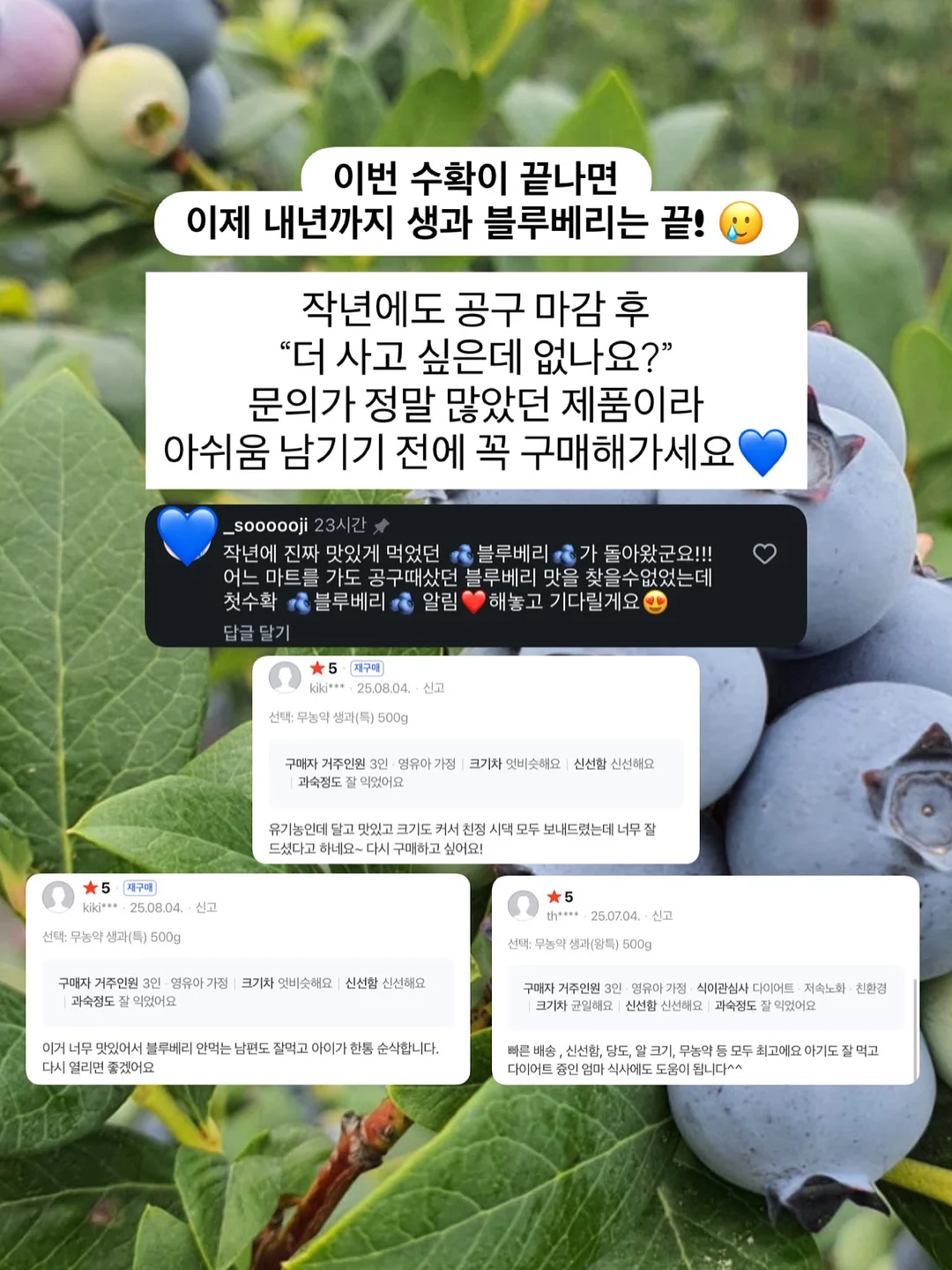 10일 대사 리셋 4
