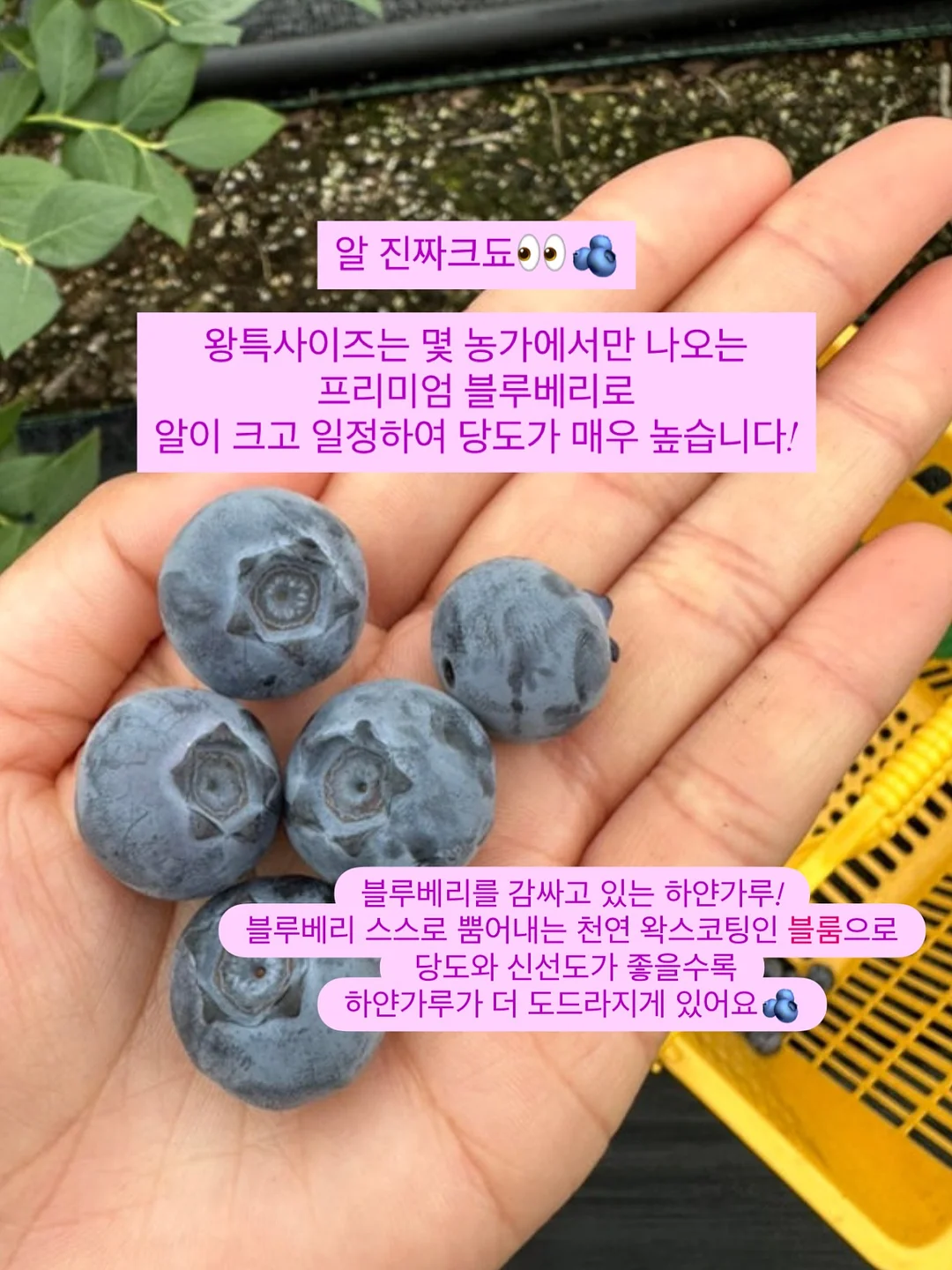 10일 대사 리셋 5