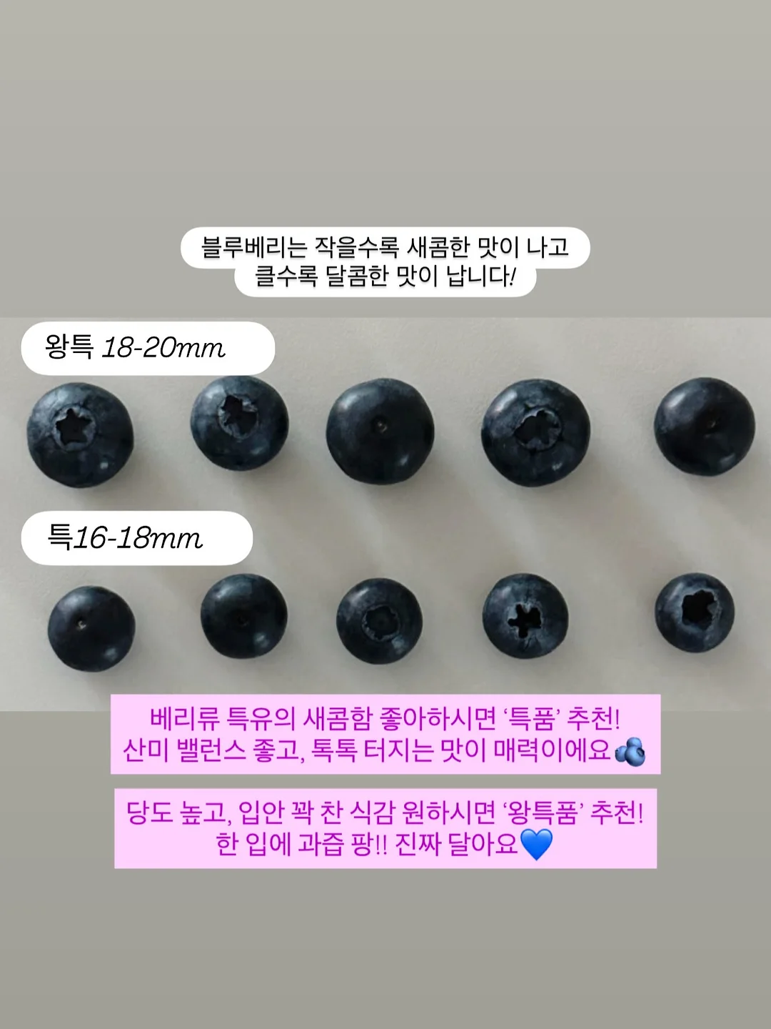 10일 대사 리셋 7