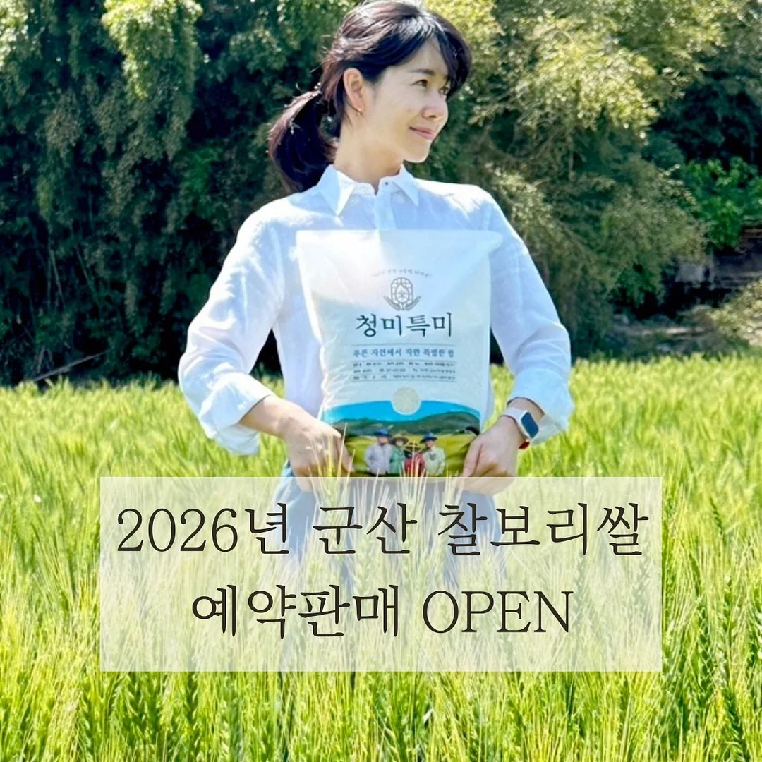 하이디 파인애플 1