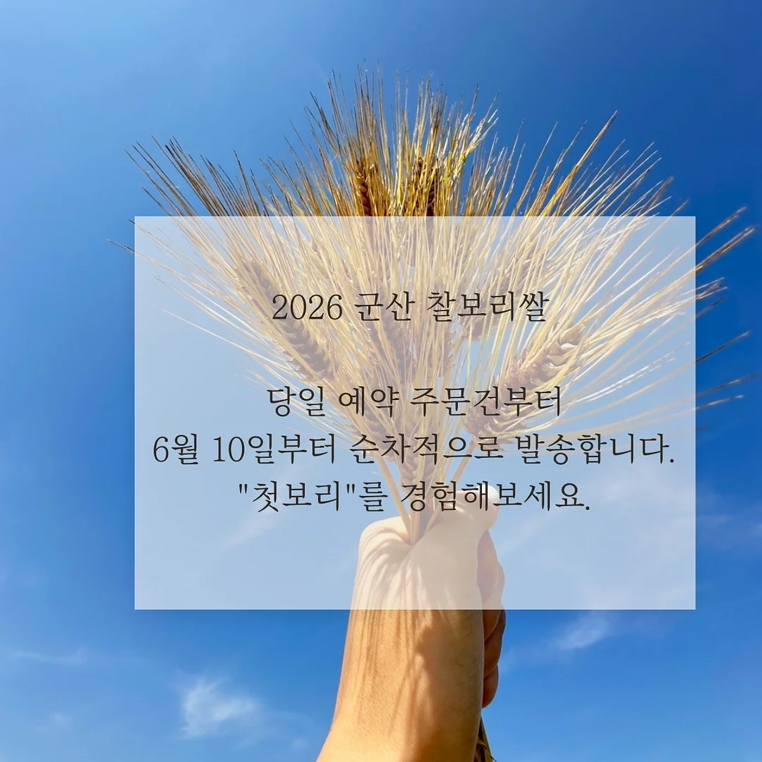 하이디 파인애플 2