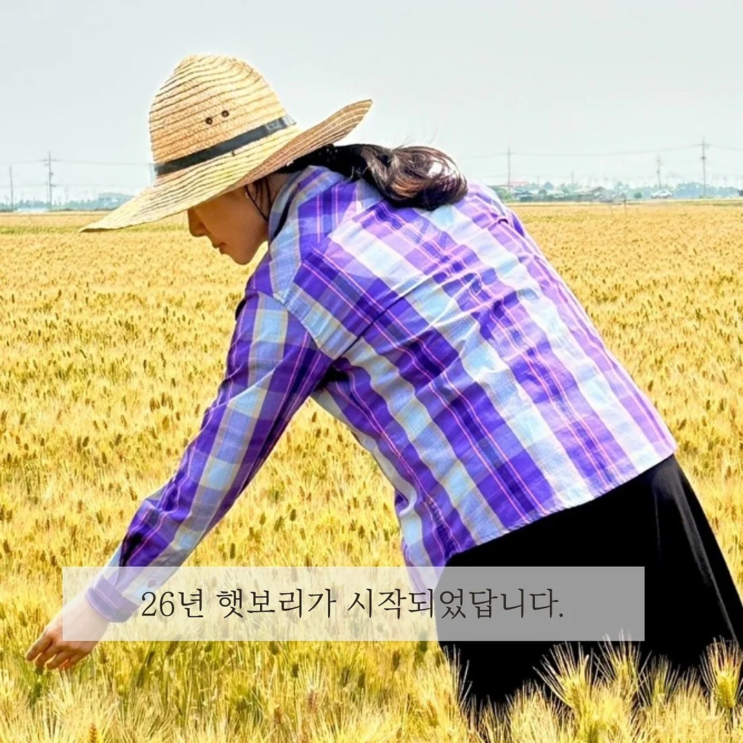 하이디 파인애플 4