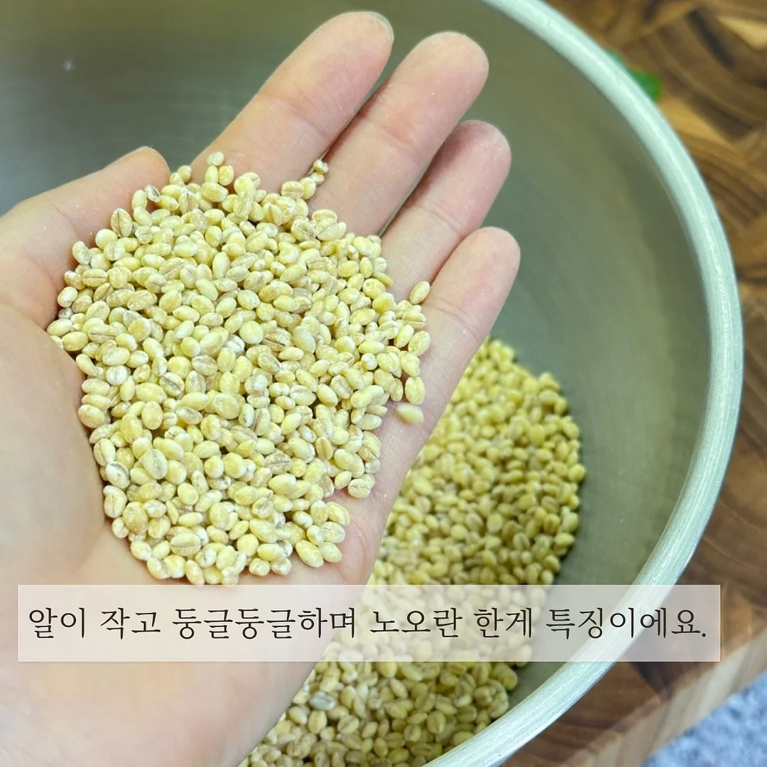 하이디 파인애플 5