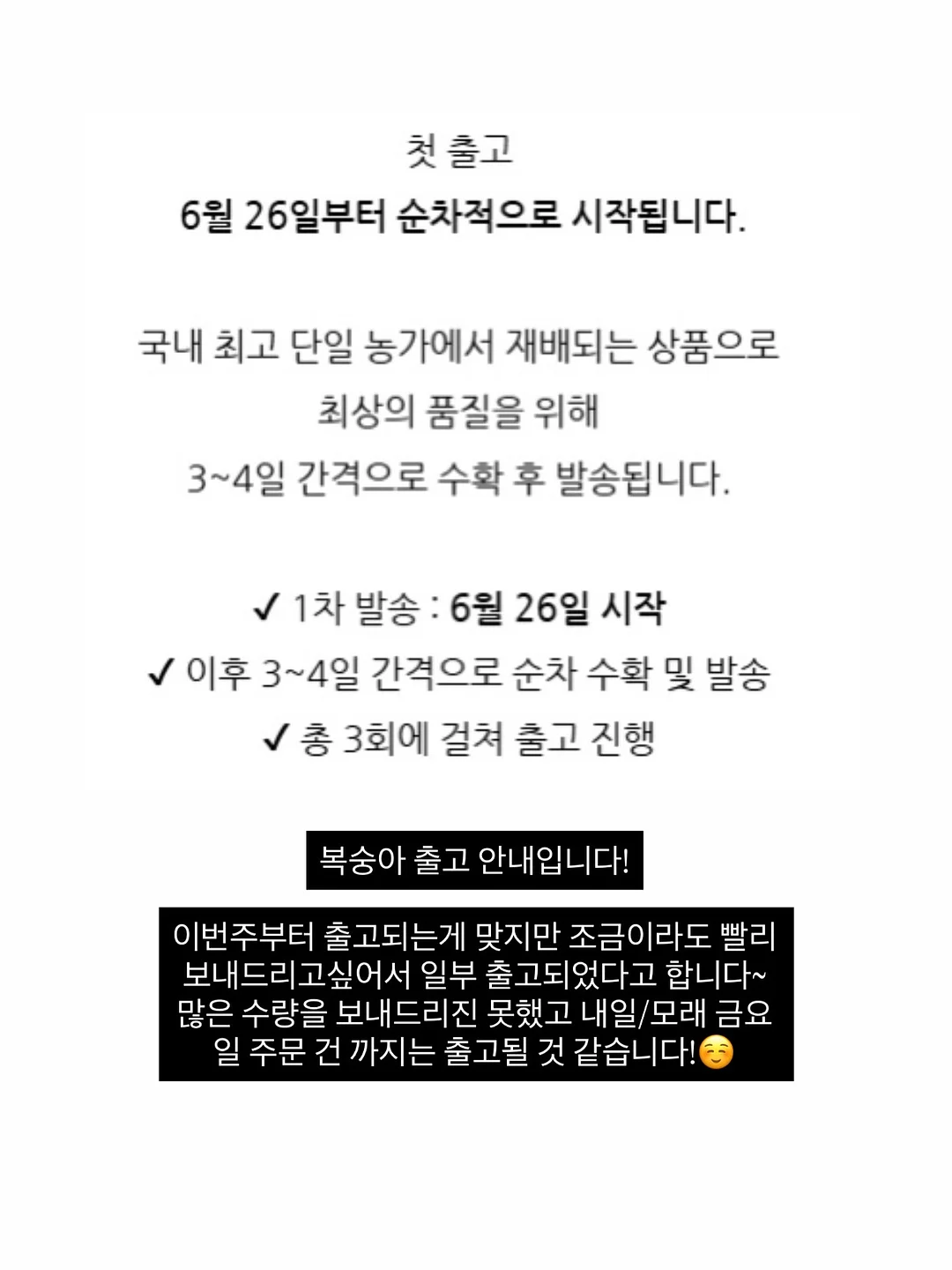 플로우팬츠 2