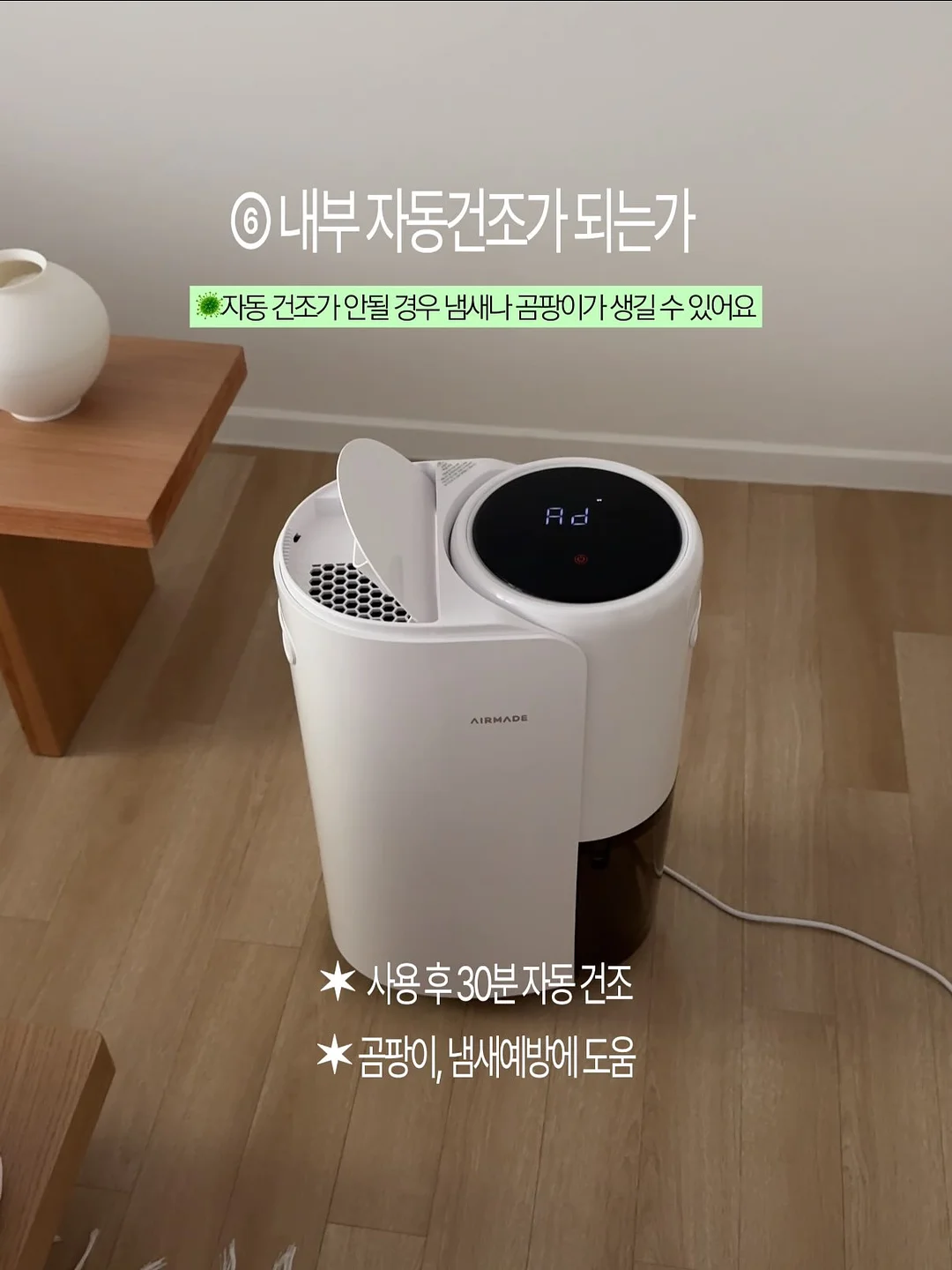 철수세미 11