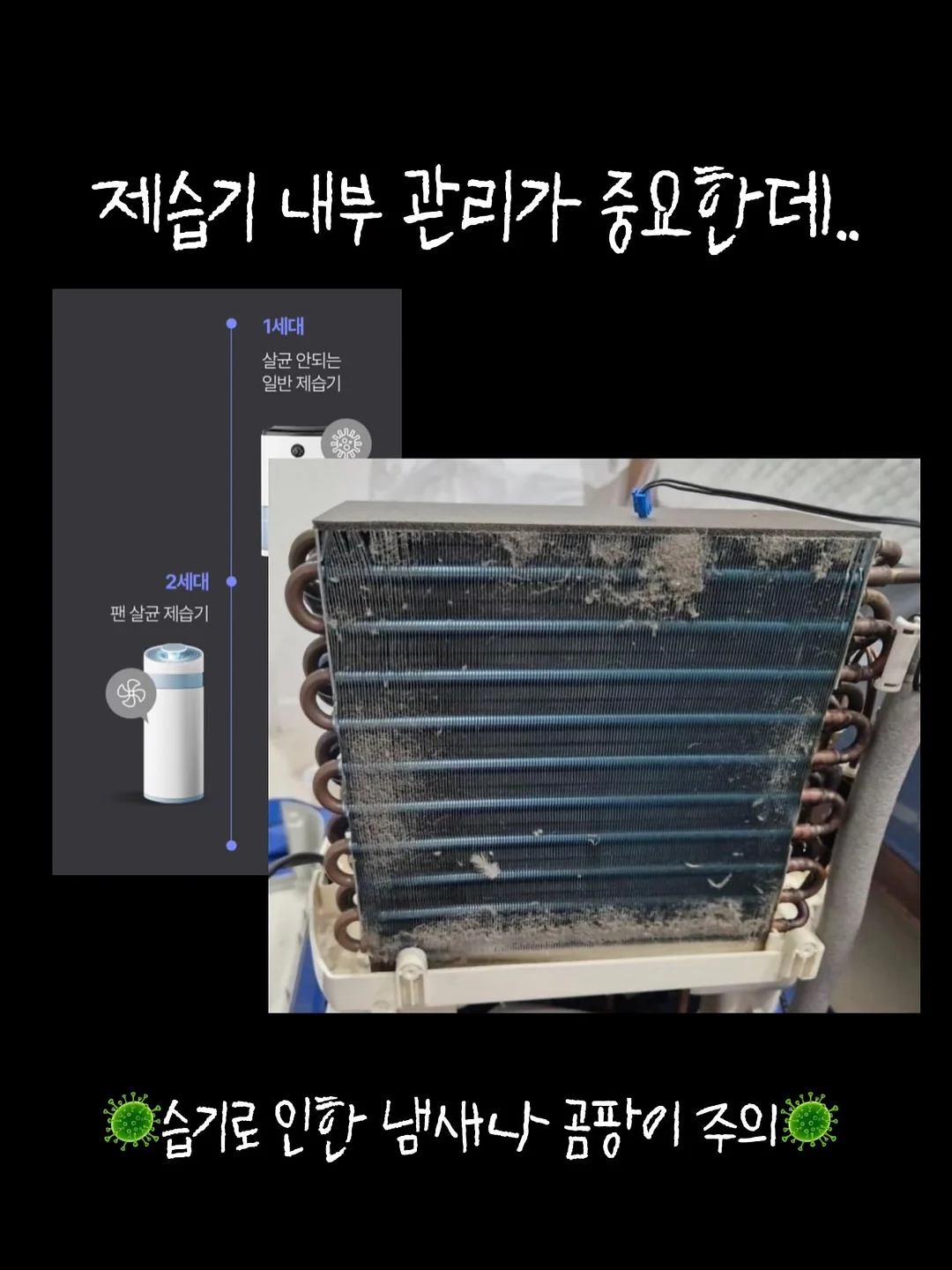 철수세미 6