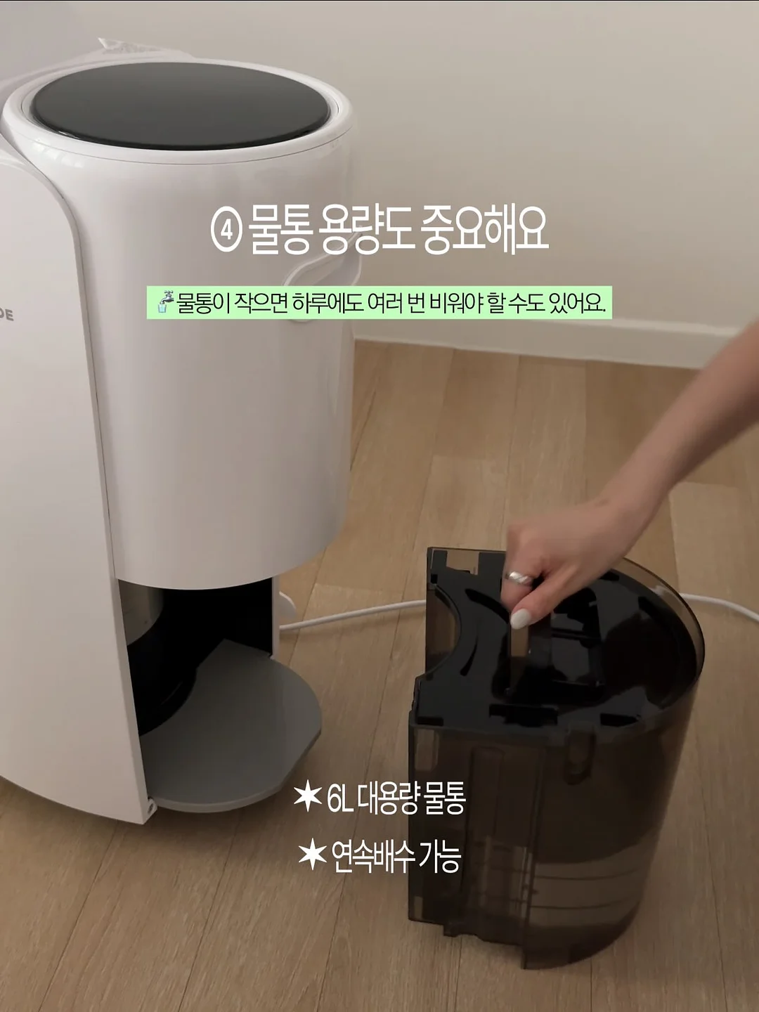 철수세미 9