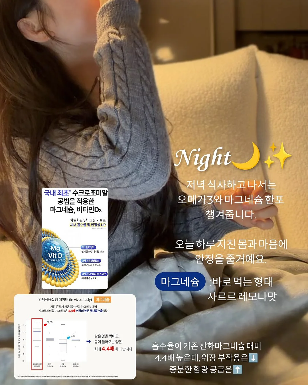 차량 햇빛가리개 6