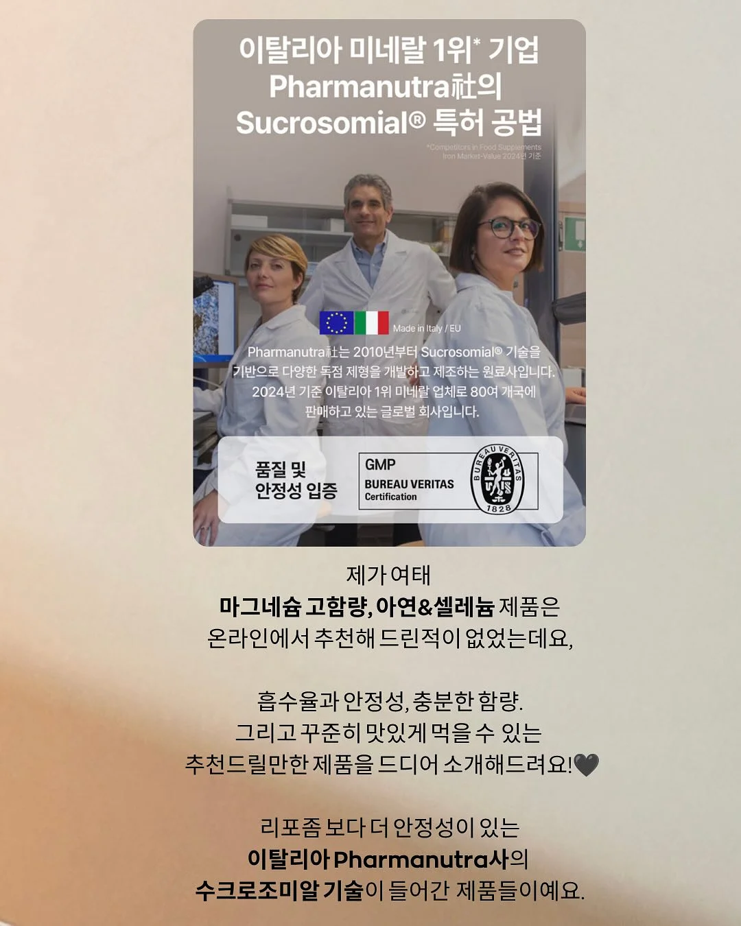 차량 햇빛가리개 7