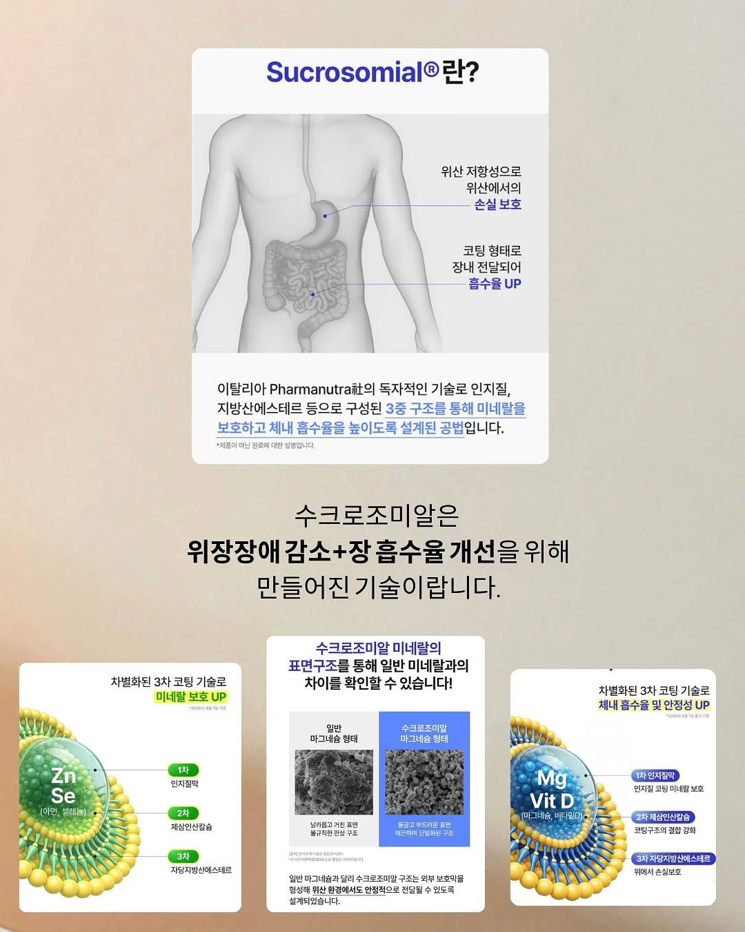 차량 햇빛가리개 8