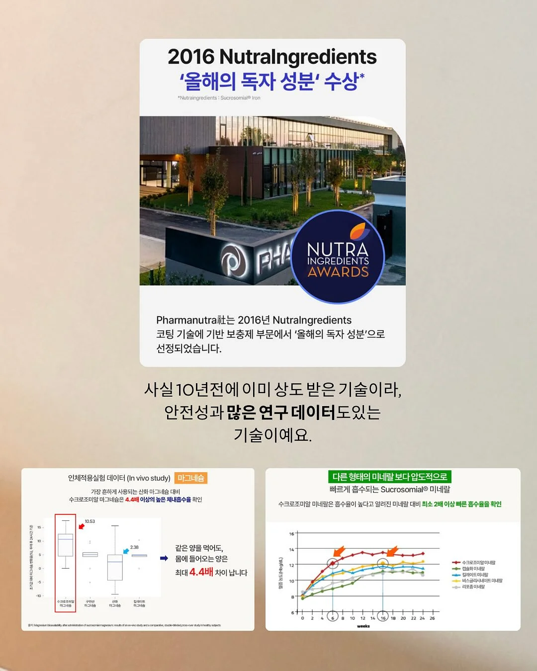 차량 햇빛가리개 9