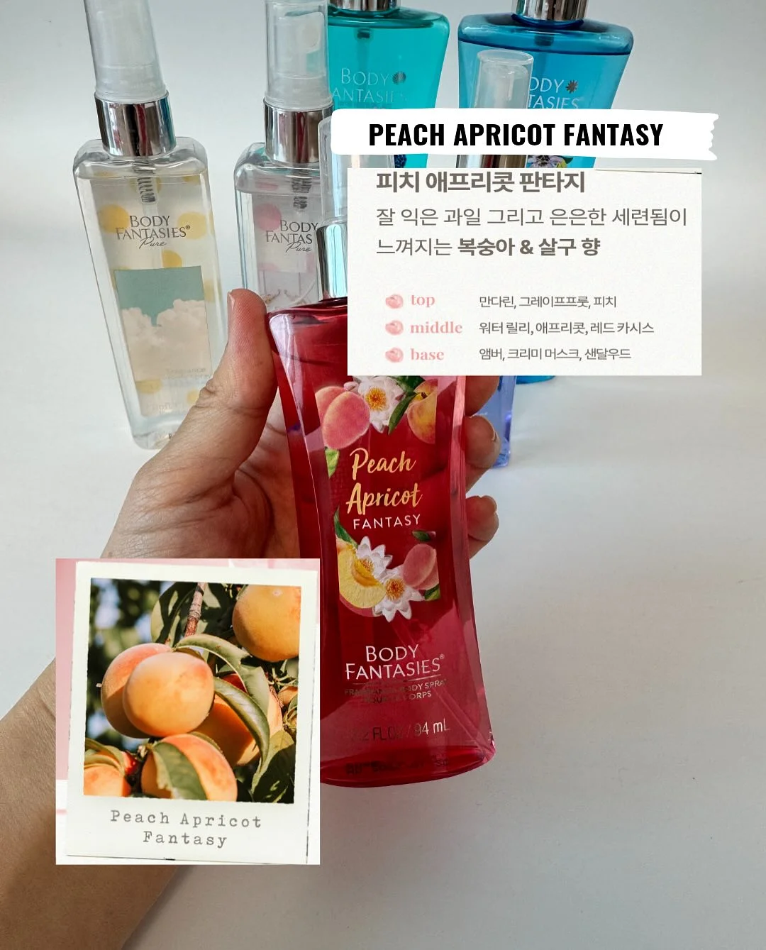 자석 헤어핀 5