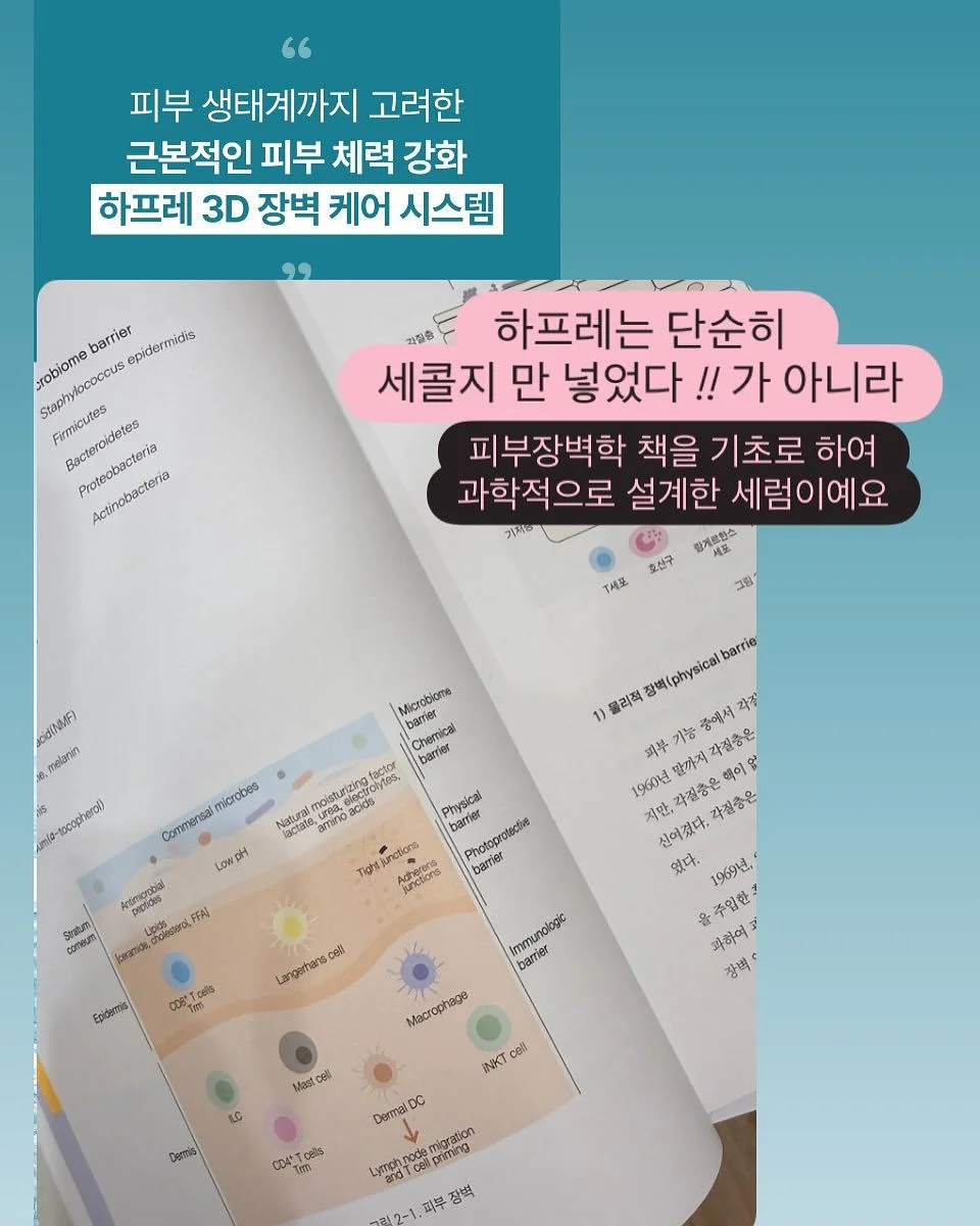 우리별피자 6