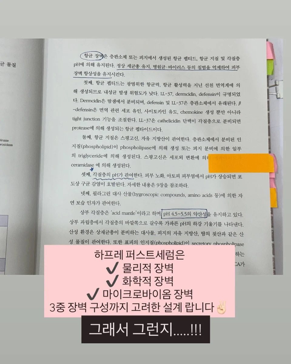우리별피자 7