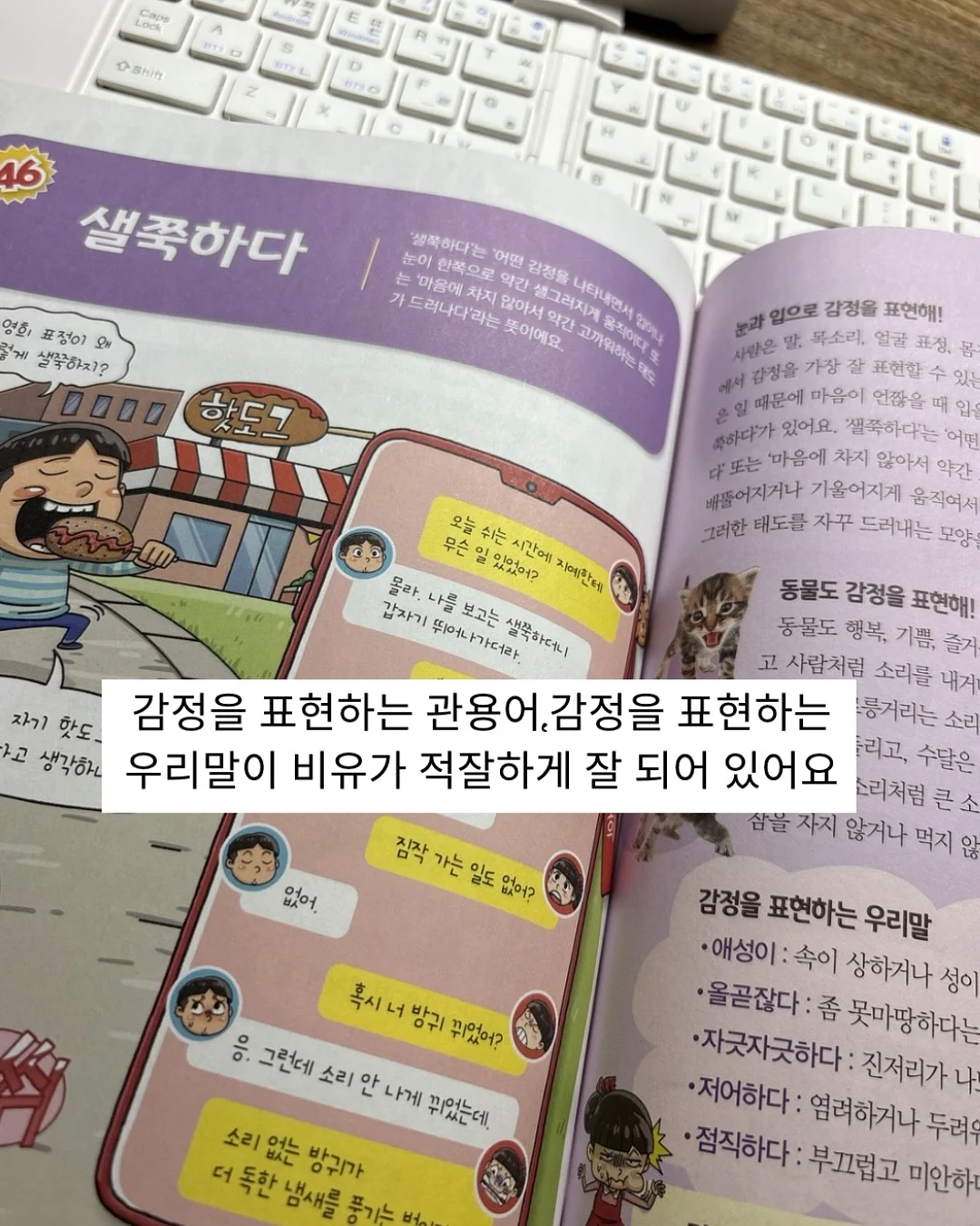능소담 키즈 풀빌라 3