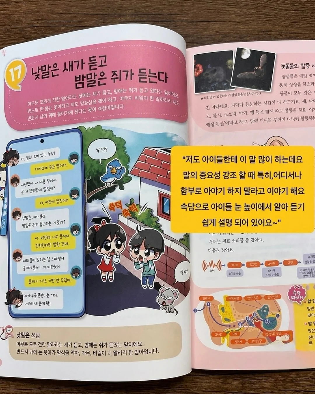 능소담 키즈 풀빌라 4