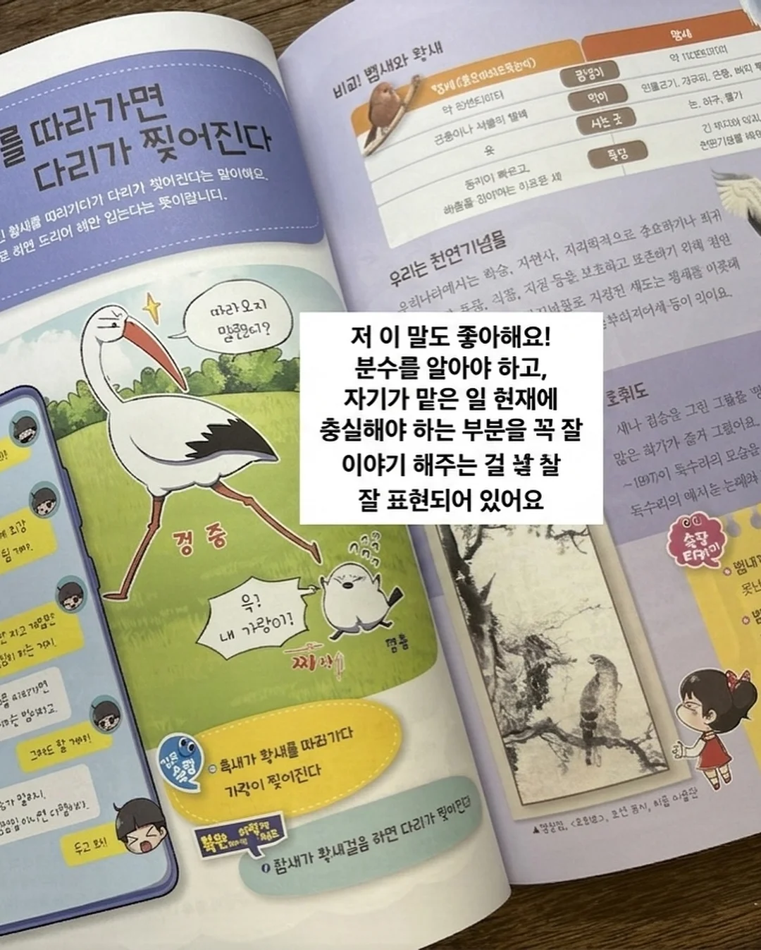능소담 키즈 풀빌라 5