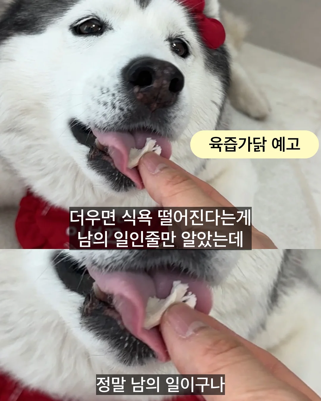 클라우드 래쉬가드세트 1